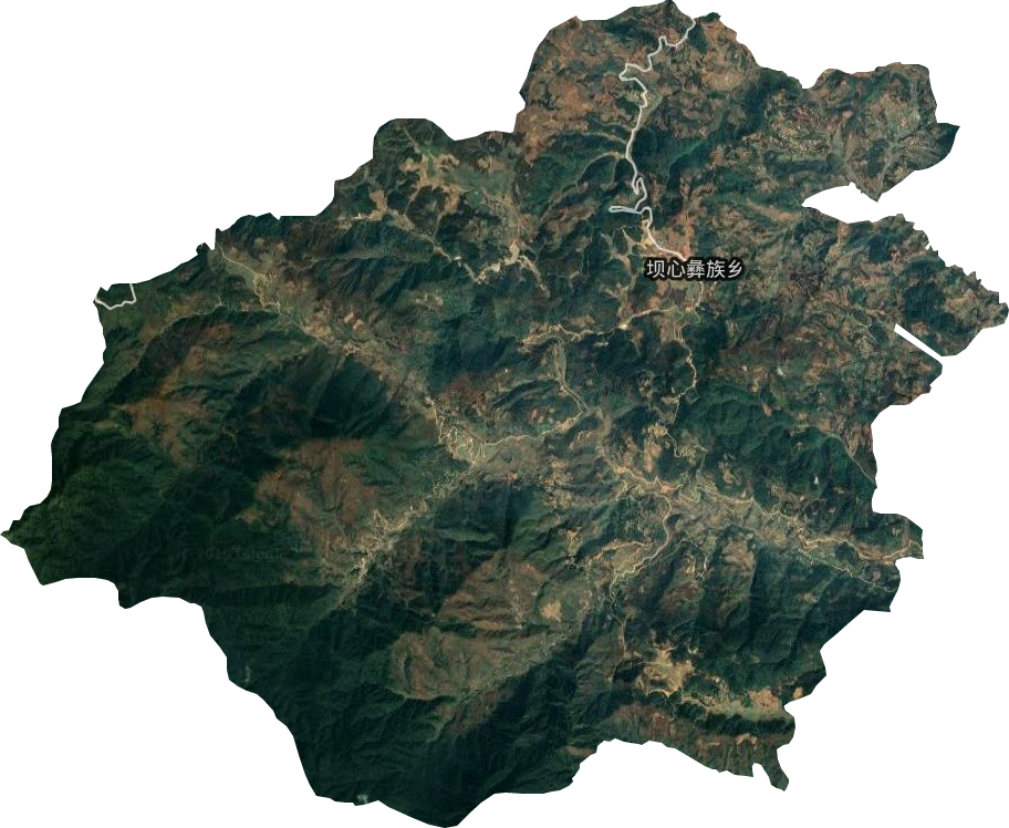 坝心彝族乡卫星图