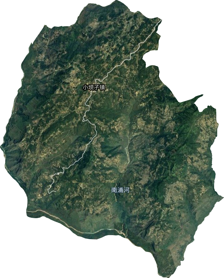 小坝子镇卫星图