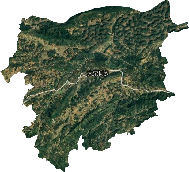 大栗树乡卫星图