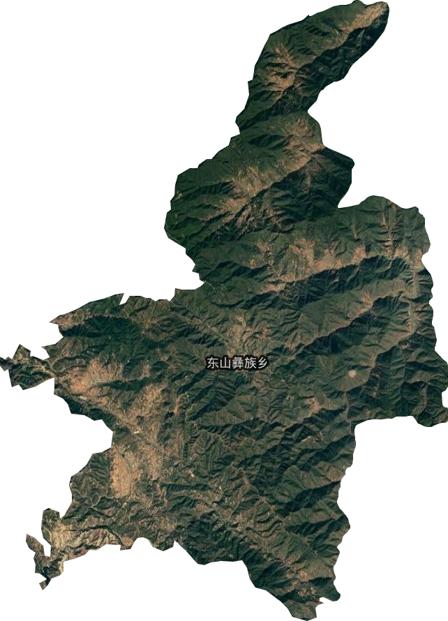 东山彝族乡卫星图
