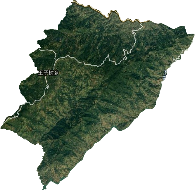 王子树乡卫星图