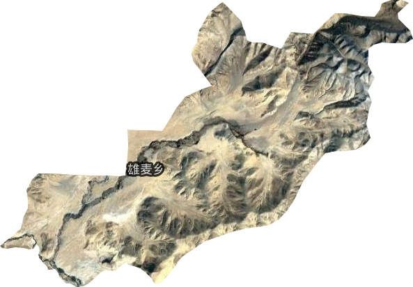 雄麦乡卫星图