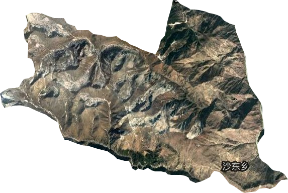 沙东乡卫星图