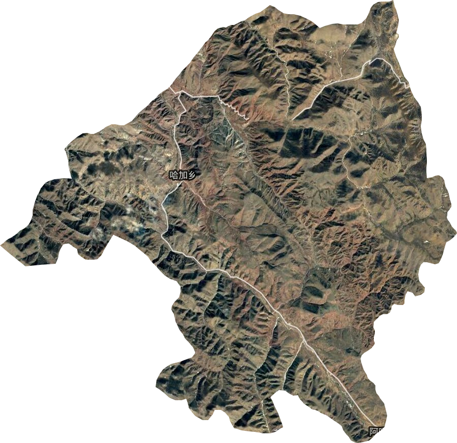 哈加乡卫星图