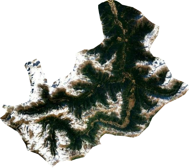 南伊珞巴民族乡卫星图