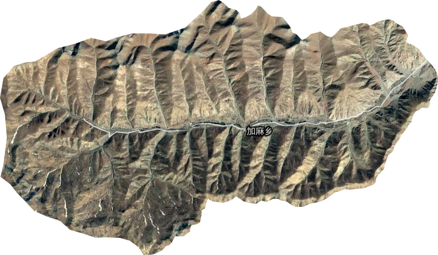 加麻乡卫星图