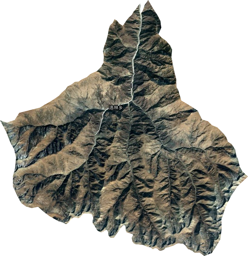 洛林乡卫星图