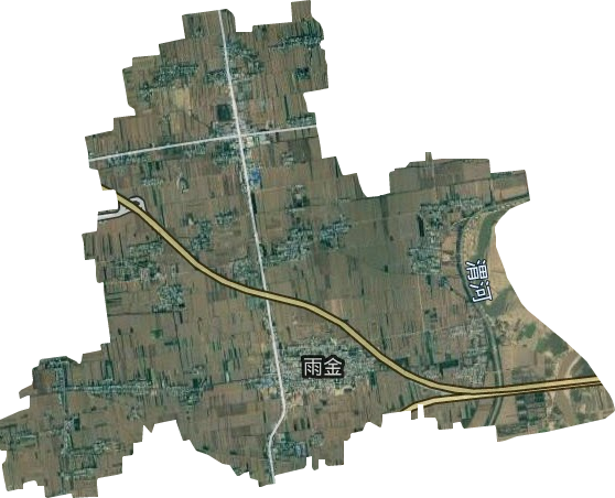 雨金街道卫星图
