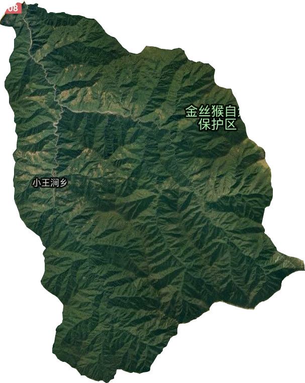 王家河镇卫星图