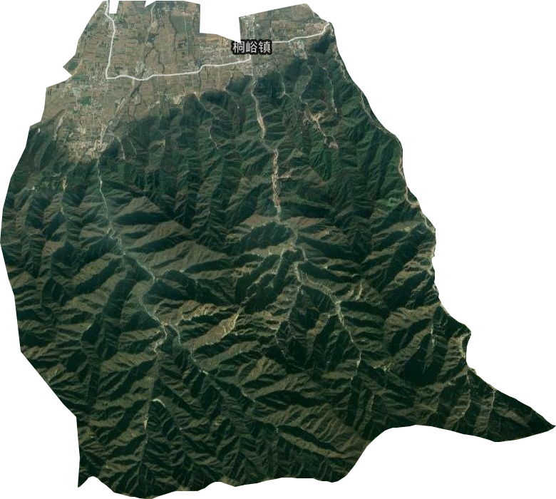 桐峪镇卫星图