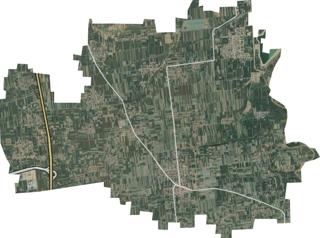 龙阳镇卫星图