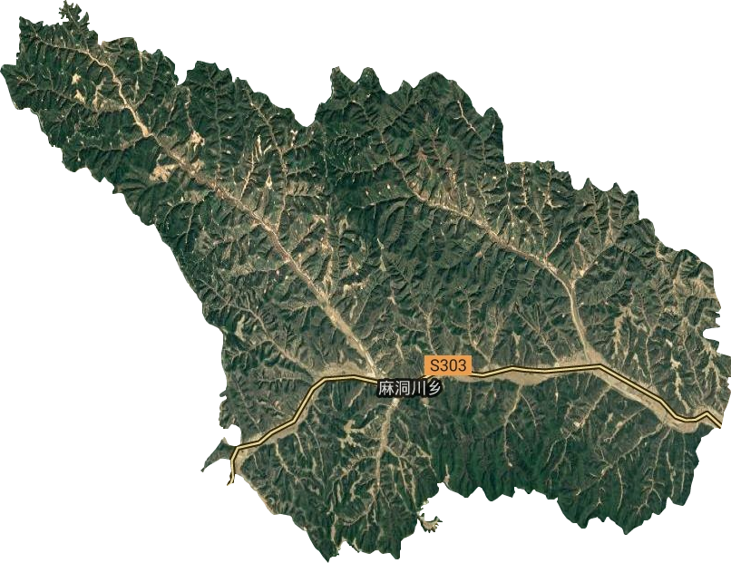麻洞川乡卫星图
