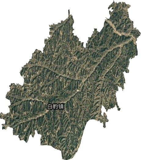 白豹镇卫星图