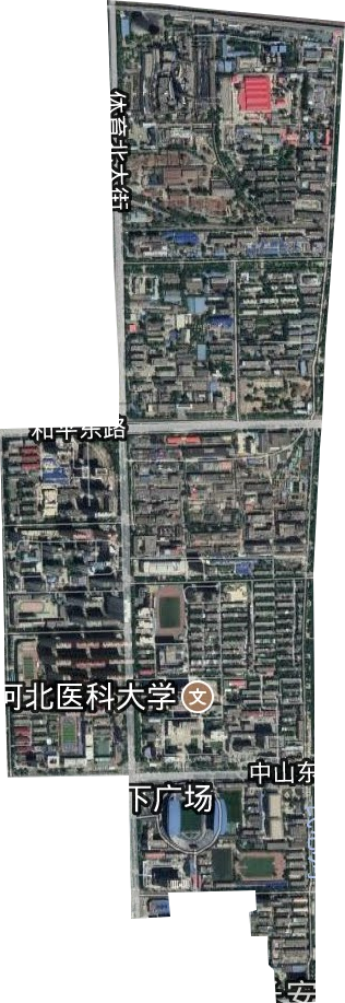 育才街道卫星图