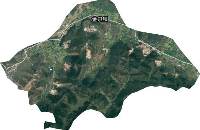 金泉镇卫星图