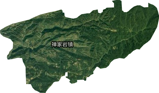 禅家岩乡卫星图