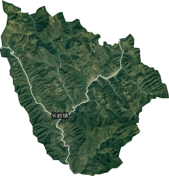 长岭镇卫星图