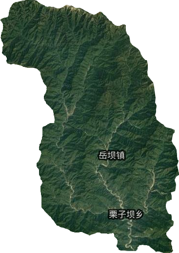 岳坝乡卫星图