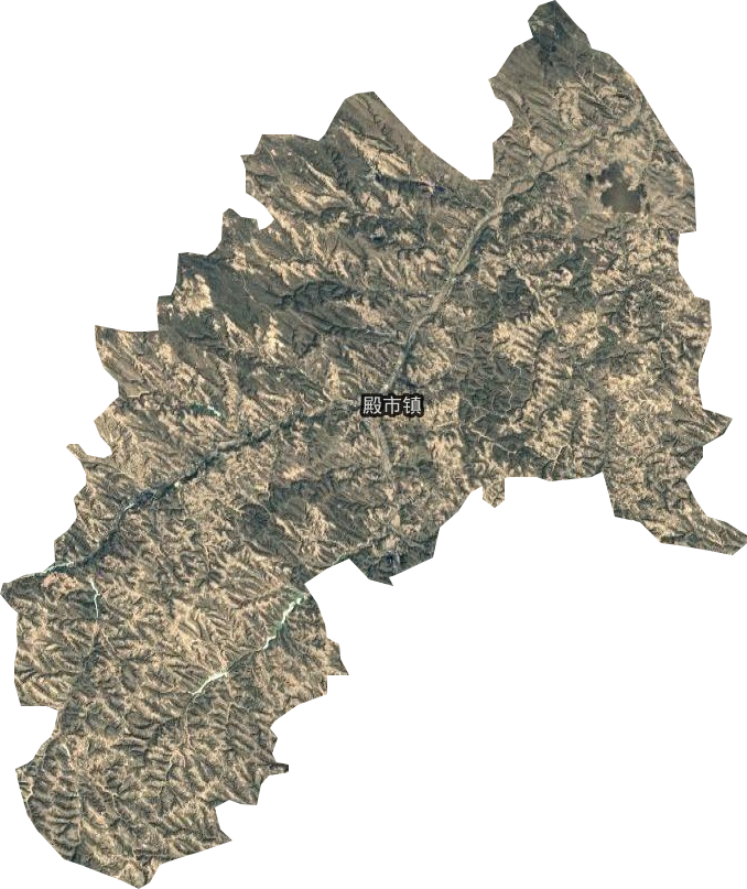 殿市镇卫星图