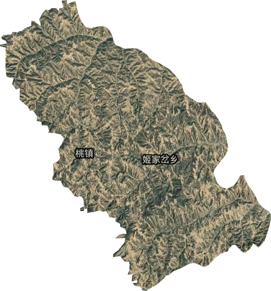 桃镇卫星图
