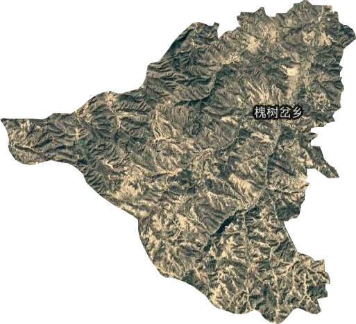 槐树岔乡卫星图