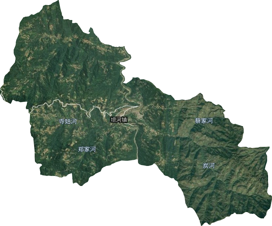 坝河镇卫星图