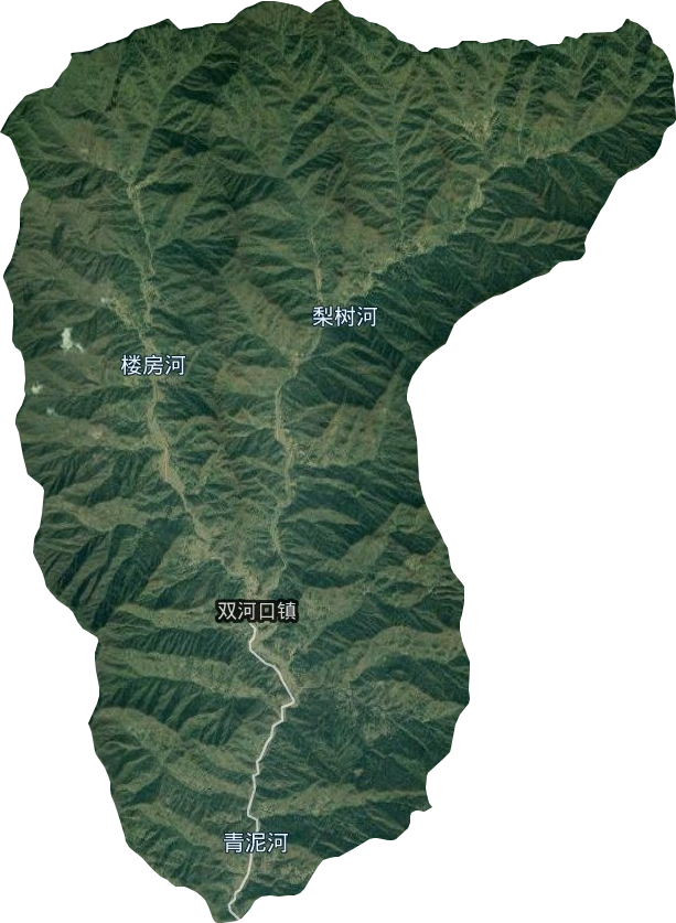 双河口镇卫星图