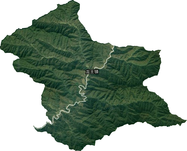 龙王镇卫星图