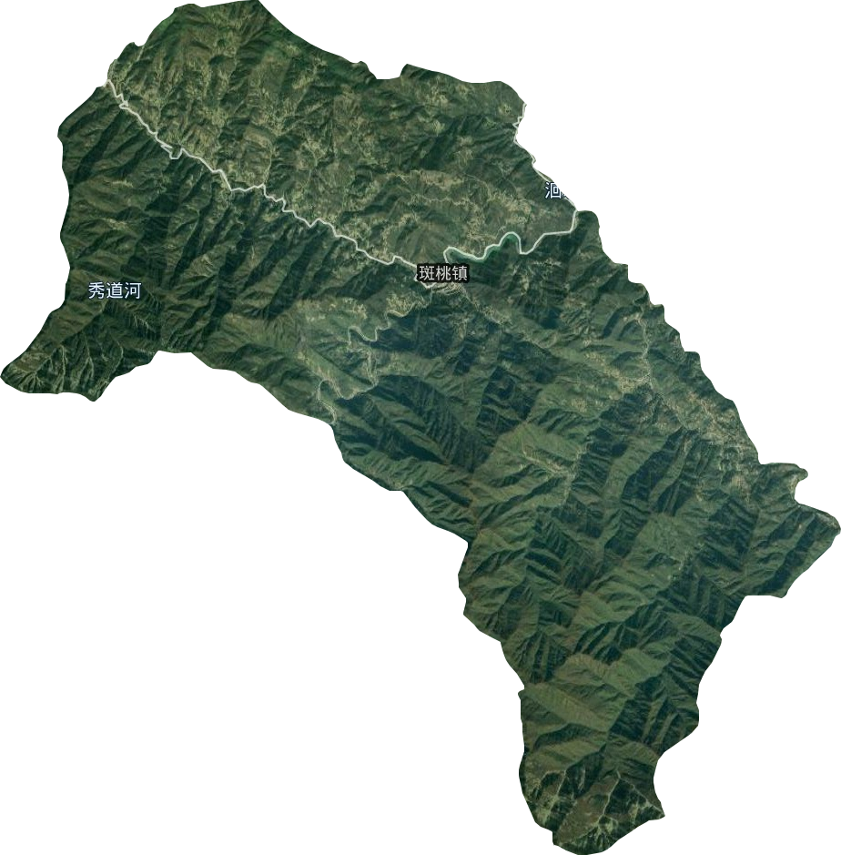 斑桃镇卫星图
