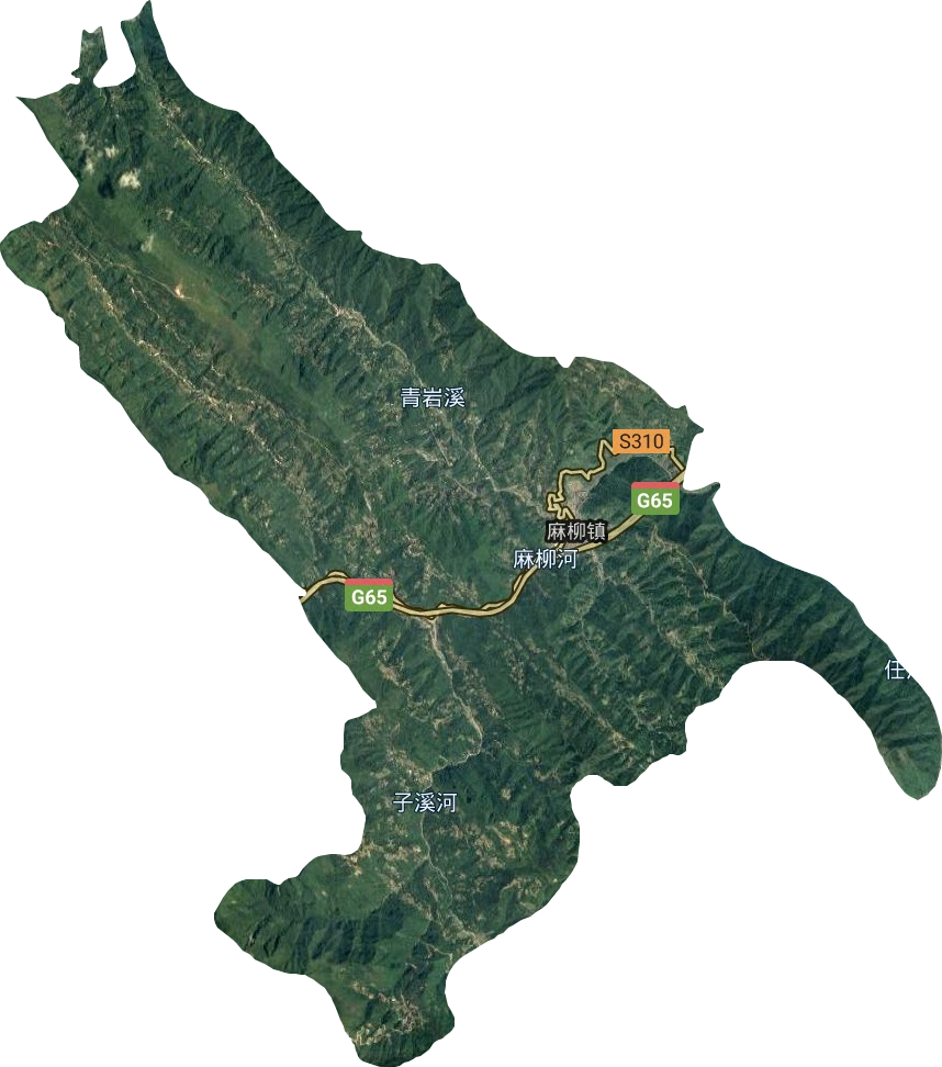 麻柳镇卫星图