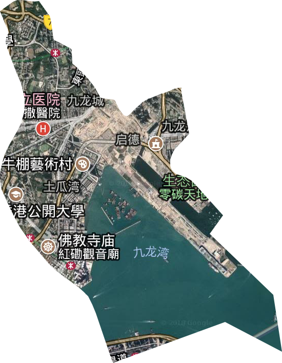 九龙城区卫星图