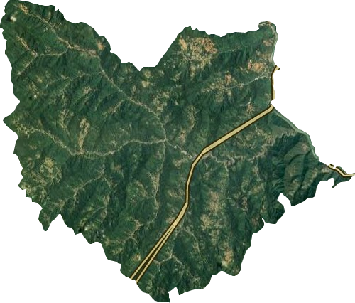 桐木镇卫星图