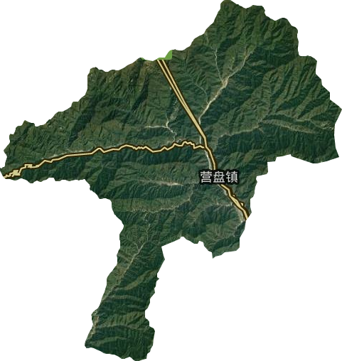 老林乡卫星图