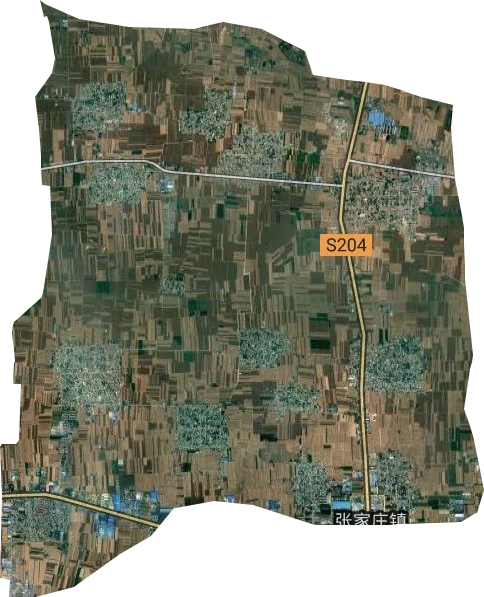 张家庄镇卫星图