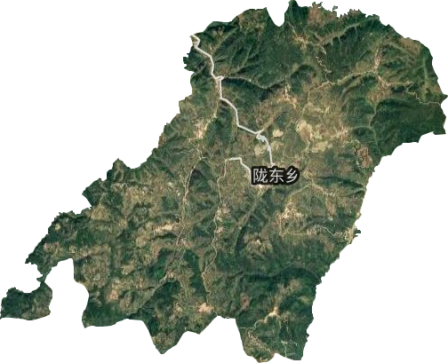 陇东乡卫星图