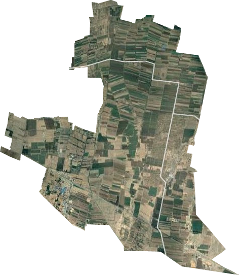 黄羊河街道卫星图