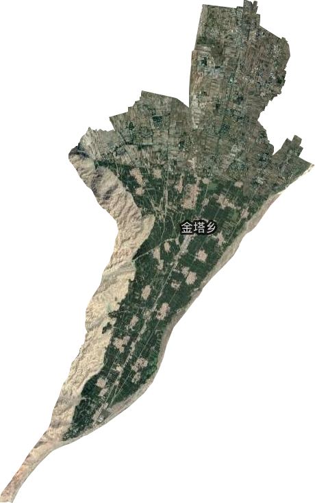 金塔乡卫星图