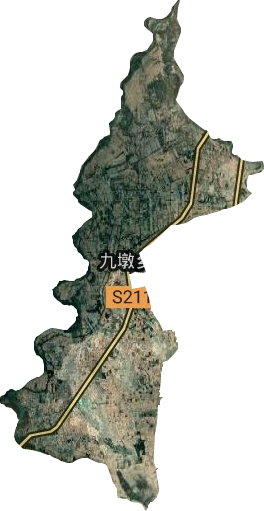 九墩乡卫星图