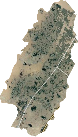 大滩乡卫星图