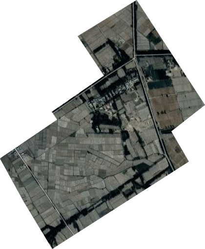 园艺场卫星图