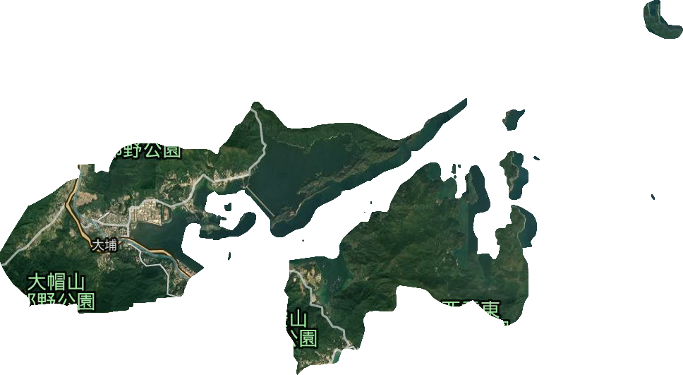 大埔区卫星图