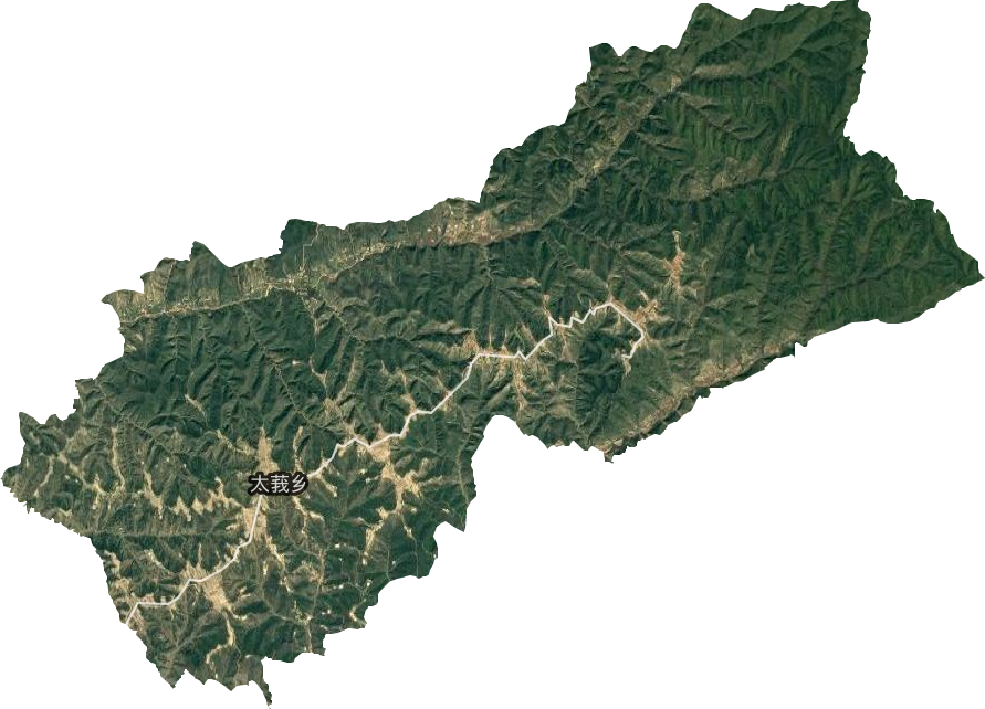 太莪乡卫星图