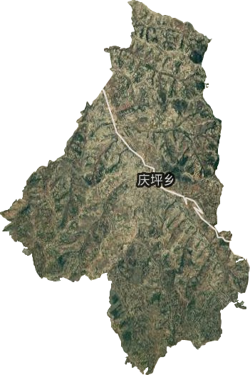 庆坪乡卫星图
