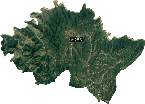 迷坝乡卫星图