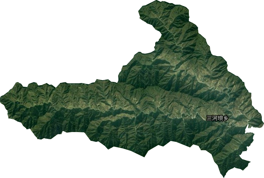 三河坝乡卫星图