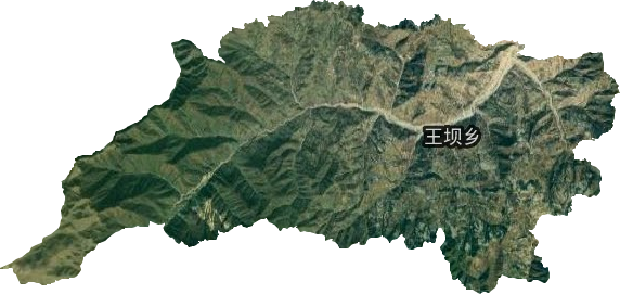 王坝乡卫星图