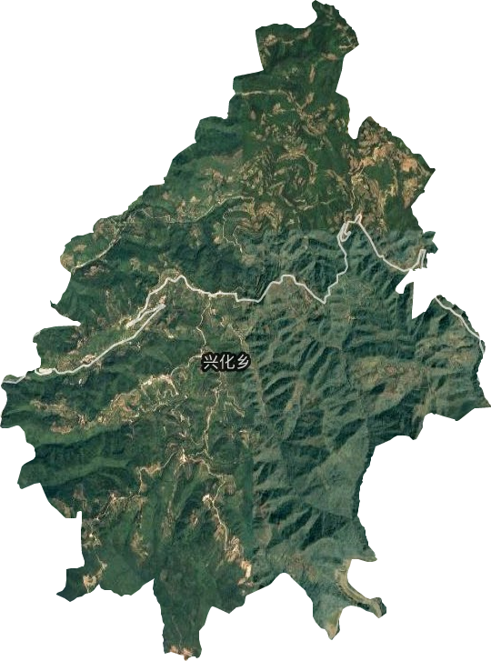 兴化乡卫星图