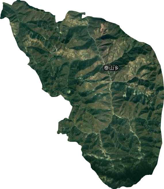 泰山乡卫星图
