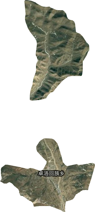 卓洛回族乡卫星图