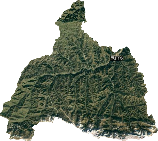 尼巴乡卫星图